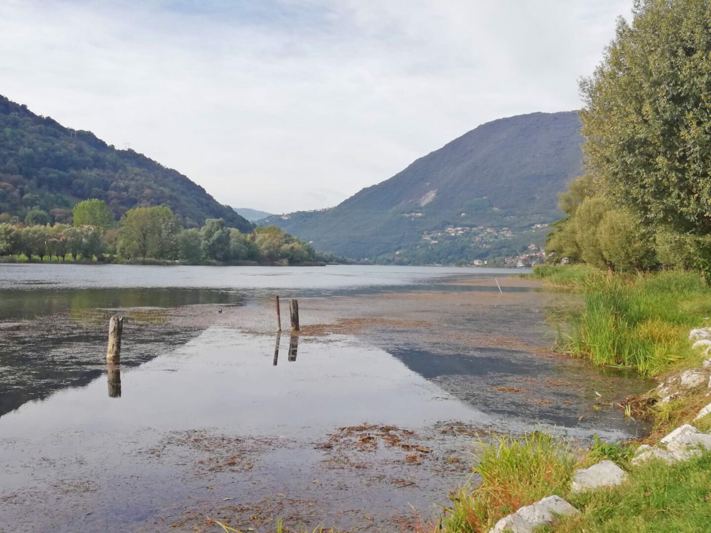 LAGO DI ENDINE - Problema Alghe, Dalla Regione 150 Mila Euro Per La ...